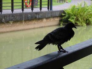 DSC00348