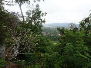DSC02767