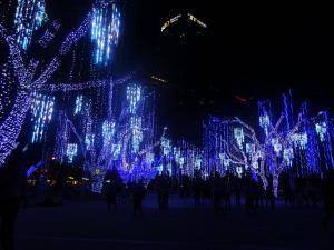 DSC04536